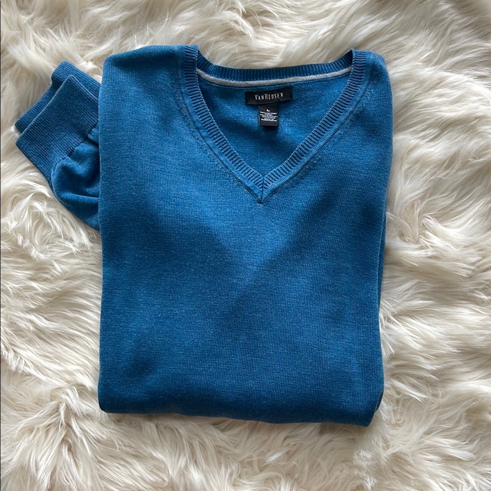 Van Heusen Men's Teal V-Neck Sweater